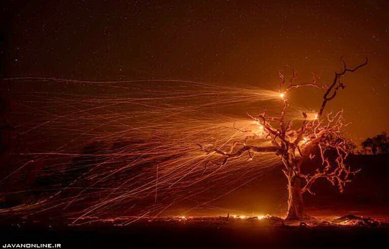 تصویری از شدت باد در آتش سوزی کالیفرنیا