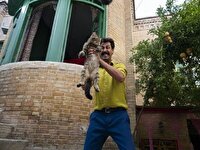 «سال گربه» رکورد زد؛ بیشترین تعداد مخاطب روز نخست اکران پساکرونایی
